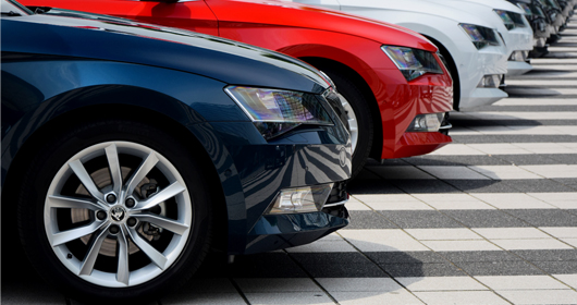 Veterinerlik Hizmetleri